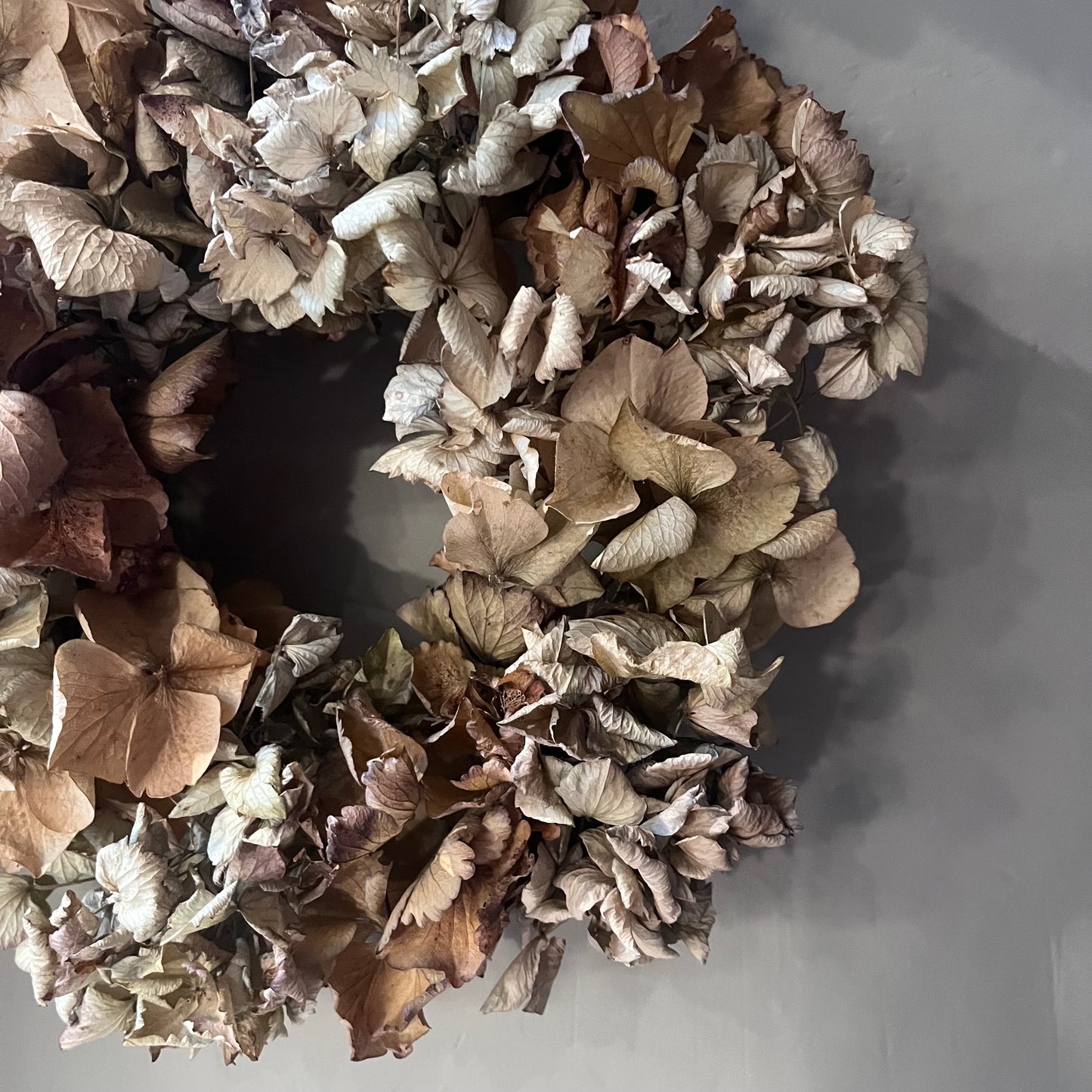 Dried Flower Cottage Wreath | Garden Wall Hanging (23cm)