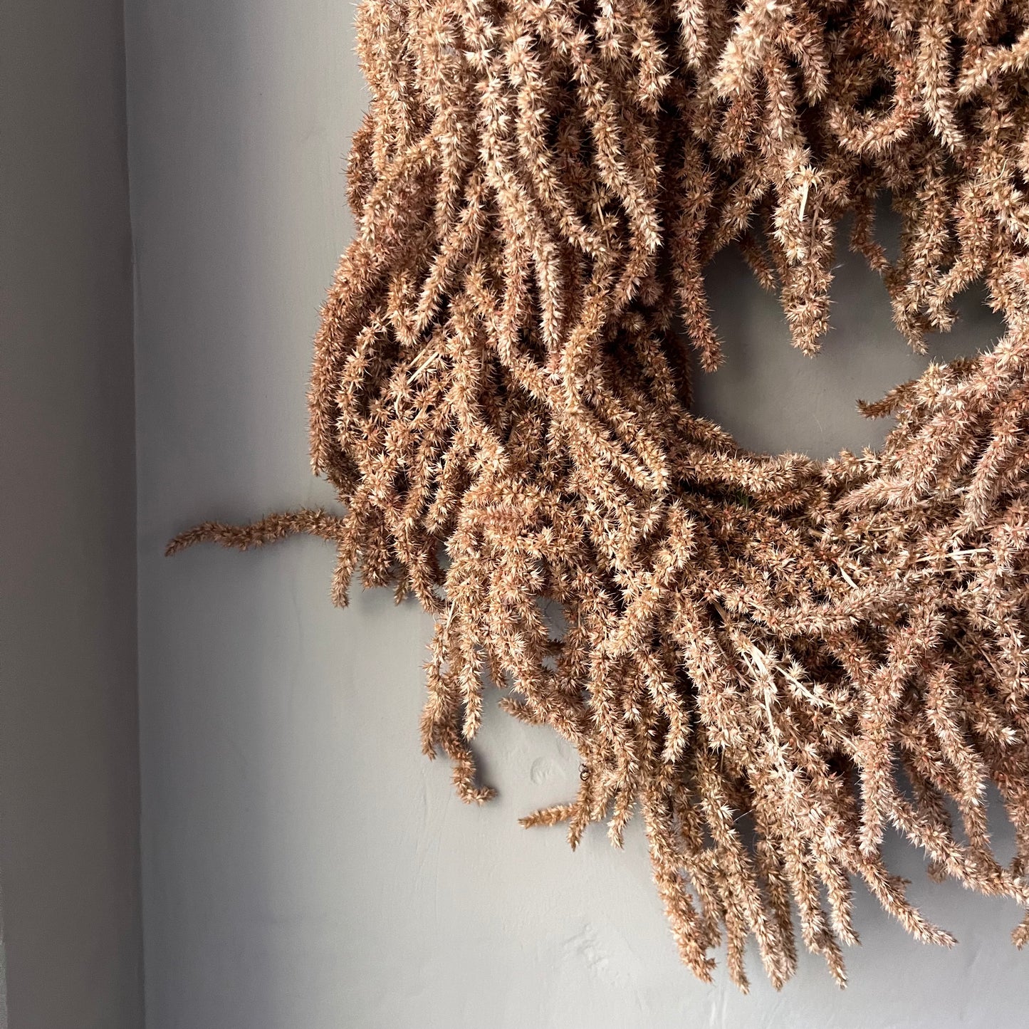 Autumn Dried Flower Wreath: Everlasting Floral Decor, 25cm