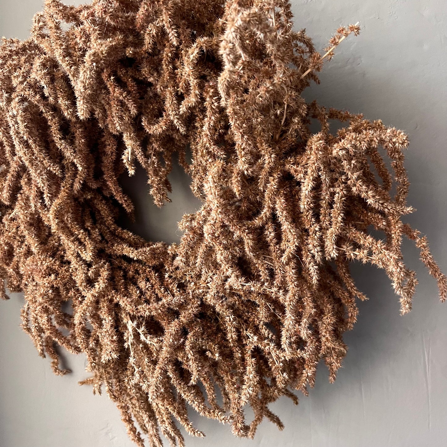 Autumn Dried Flower Wreath: Everlasting Floral Decor, 25cm